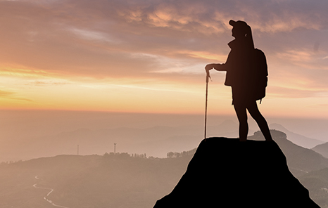 新利体育luck18·(中国)首页登录